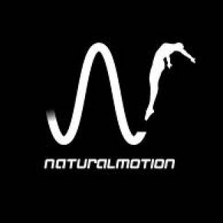 NaturalMotion (Company) - Giant Bomb