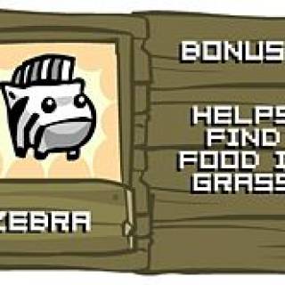Zebra Orb