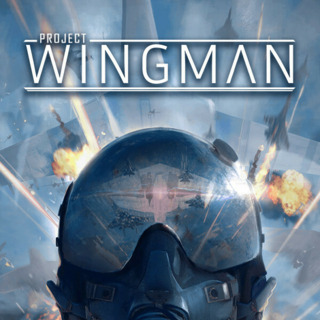 Project Wingman