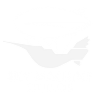 Sky Machine Studios