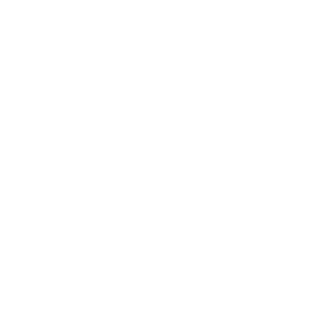 Bandai Namco Aces Inc.