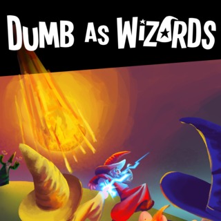 Dumb as Wizards