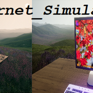 Internet Simulator
