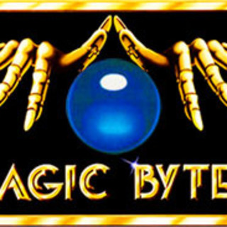 Magic Bytes