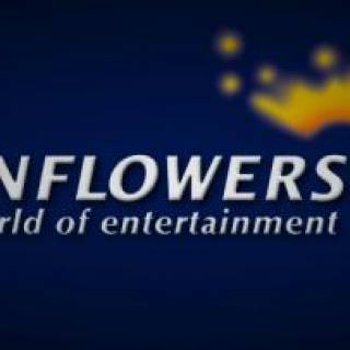 Sunflowers Interactive Entertainment Software GmbH