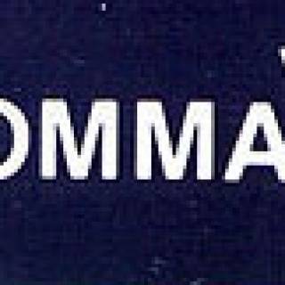 CommaVid, Inc.