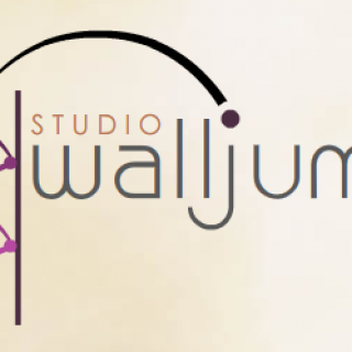Studio Walljump