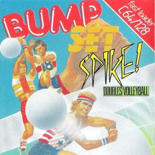 Bump Set Spike!: Doubles Volleyball