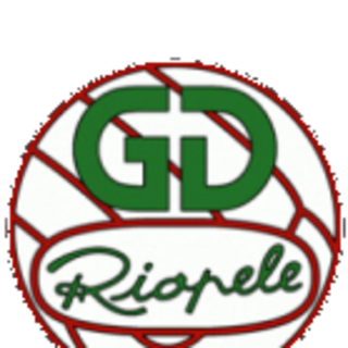 Grupo Desportivo Riopele