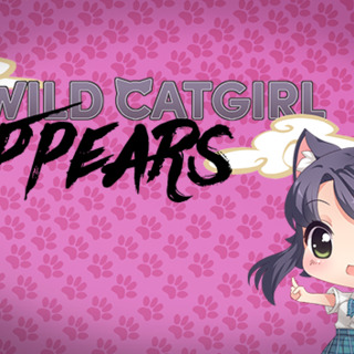 A Wild Catgirl Appears!