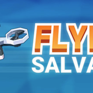 Flying Salvager