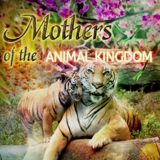 Hidden Object: Mothers Of The Animal Kingdom