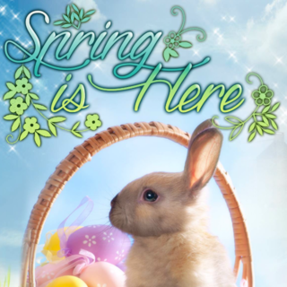 Hidden Object: Spring is Here