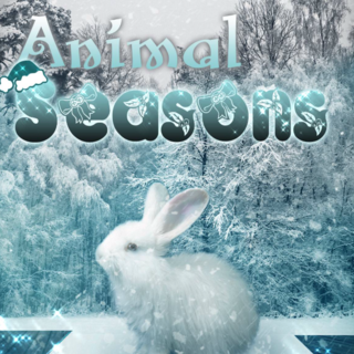 Animal Seasons