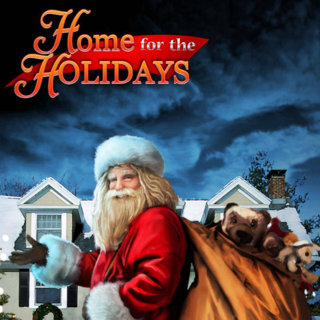Hidden Object: Home for the Holidays