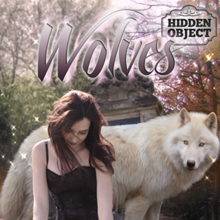 Hidden Object: Wolves