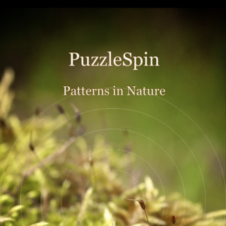 PuzzleSpin: Patterns in Nature