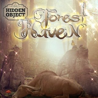 Hidden Object: Forest Haven