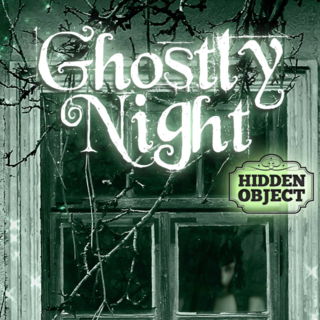Hidden Object: Ghostly Night