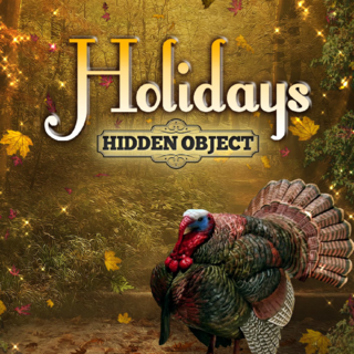 Hidden Object: Holidays