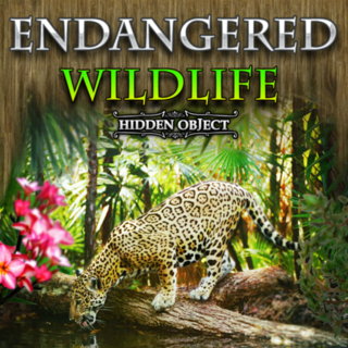 Hidden Object: Endangered Wildlife