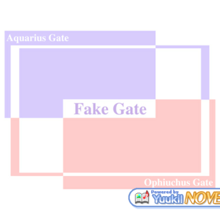 	Fake gate