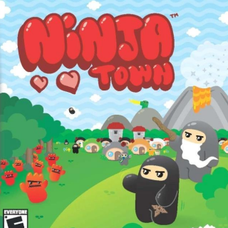 DS box art (cropped)