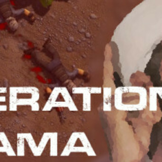 Operation Osama Bin Laden