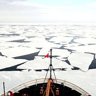 The Bering Sea